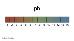 PH-Tabelle icon